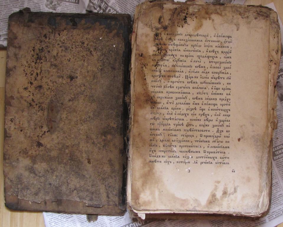 Фоксинги и Плесень: Главные враги старинной книги. Руководство для букиниста